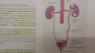 Basic Overview of Pyelonephritis  SPECIAL PATHOLOGY [upl. by Aruol]