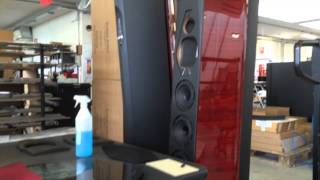 Sonus Faber Lilium speakers [upl. by Itsud]