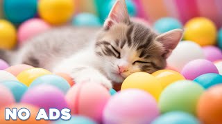 12 Hours Calming Music for Cats 🐈 Sleep Music for Cats No Ads ♬ Sleep Music for Anxious Cats [upl. by Tonya62]