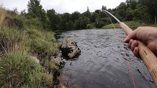 River Findhorn salmon fishing Lethen beat 2020 [upl. by Casimire]