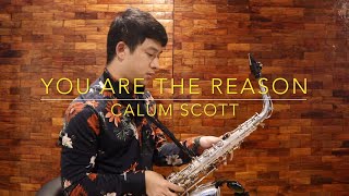 You Are The Reason  Calum Scott Saxophone Cover [upl. by Nylime701]