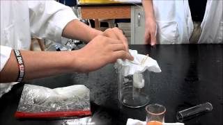 Extracting DNA from a Banana [upl. by Myke]