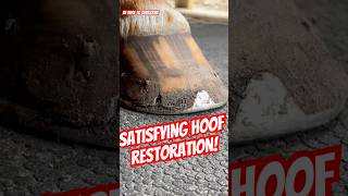 Super satisfying Hoof Restoration You gotta see this farrier satisfying asmr horse hoof [upl. by Adnamar]