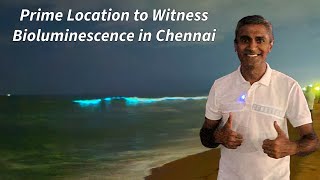 Prime Spot to Witness Bioluminescence in Chennai  Bioluminescent at ECR Road Palavakkam [upl. by Meibers]