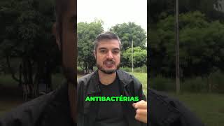 ANTIBACTÉRIAS E ANTI FUNGOS DO CACHORRO [upl. by Alikat]