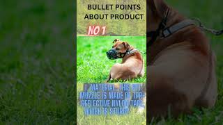 How to put a muzzle on a dog that bites How to train dog to wear a muzzleshorts [upl. by Kcerb406]