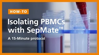 How to Isolate PBMCs from Whole Blood Using the SepMate™ PBMC Isolation Tubes 15Minute Protocol [upl. by Bannasch]