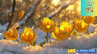 Daffodils Dance Song  Daffodils Dance  The Daffodil dance  Nursery Rhymes  Kids Songs [upl. by Rafaellle]