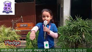 Pledge For Daily School Assembly  Srishti LKG 20 Nov 2024  PRACTICAL PATHSHALA  PPS [upl. by Yenalem145]