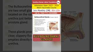 bulbourethral glands  Sandhya Raman Adhar Foundation [upl. by Geesey]