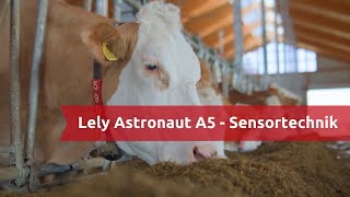 Lely Astronaut A5  Interessante Fakten zur Sensortechnik [upl. by Etteuqram609]