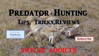 Predator Hunting Tips Tricks Reviews Primos quotStillquot Cottontail Rabbit [upl. by Keslie]