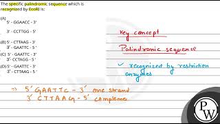 The specific palindromic sequence which is recognized by EcoRI is [upl. by Breena103]