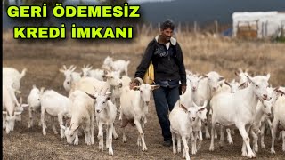 İNEK GİBİ SÜT VEREN SAANEN KEÇİLER  HAYVANCILIK KREDİSİ İLE KENDİ İŞİNİ KURMUŞ [upl. by Spector]