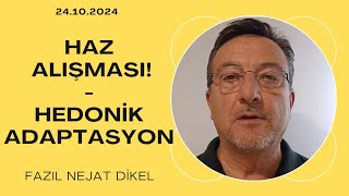 Haz Alışması Hedonik adaptasyon [upl. by Dinsmore]