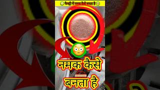 नमक कैसे बनता है जानिए इस वीडियो में How salt is made shorts facts [upl. by Gomez]