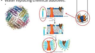 Proteomics sample preparation [upl. by Eyaj]