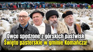 Owce spędzone z górskich pastwisk Święto pasterskie w gminie Komańcza [upl. by Eneles265]