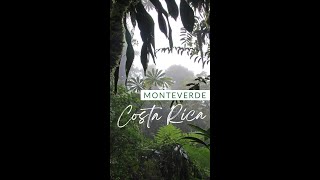 Visit Monteverde Costa Rica [upl. by Tatianas]