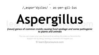 Pronunciation of Aspergillus  Definition of Aspergillus [upl. by Rocco]