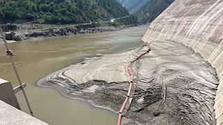 Experimental dam sediment flushing 2024 [upl. by Anzovin]