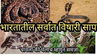 Indian venomous snakes in Marathi [upl. by Anerdna]