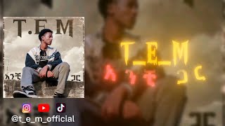 TEM አንቺ ጋር official audio [upl. by Ecissej]