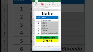 How to Italic text in Excel [upl. by Oralia]