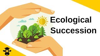 Ecological SuccessionPrimary and Secondary [upl. by Hajar697]