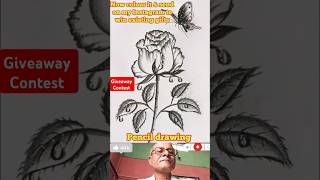 Pencil Drawing shorts viral drawing trending rose 🌹 [upl. by Alby]