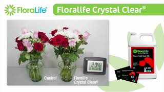 FloraLife Flower Food  Flower Food Sachets  Flower Care Solutions [upl. by Antony]