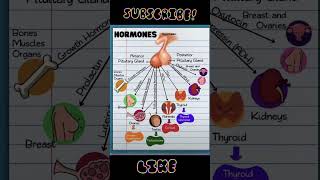 Pituitary gland Hormones hormones pituitarygland [upl. by Way]