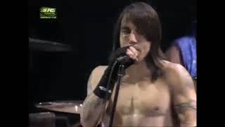 Red Hot Chili Peppers  Mellowship Slinky In B Major [upl. by Siva]