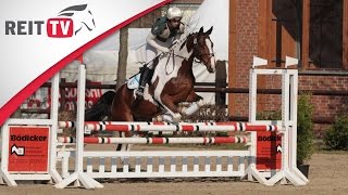 Springreiten lernen Parcours reiten leicht gemacht [upl. by Assirual]