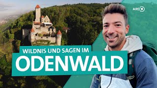 Odenwald Wandern und Entdecken zwischen Neckar und Bergstraße  Wunderschön  ARD Reisen [upl. by Dalenna]