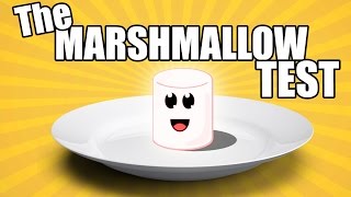 DELAYED GRATIFICATION  STANFORD UNIVERSITY MARSHMALLOW TEST [upl. by Ozzy]