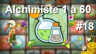 Dofus 18 Métier Alchimiste de 1 à 60 [upl. by Widera]