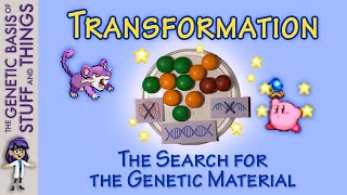 Discovering the transforming factor  Sims and Kirby and Pokemon oh my [upl. by Anirehtak]