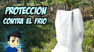 3 Formas de PROTEGER las PLANTAS del FRÍO 😨 l La Huerta de Ivan [upl. by Jenny]