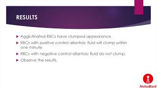 Hemagglutination Purpose Procedure and Results [upl. by Ardeid]