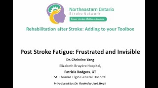 Post Stroke Fatigue Frustrated and Invisible [upl. by Ahtrim14]