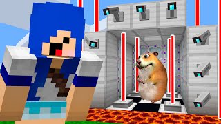 ESSE HAMSTER TAVA 100 PROTEGIDO E IMPOSSIVEL DE PEGAR FIND CHOMIKS MINECRAFT [upl. by Ranchod114]