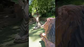 Walter Sisulu Botanical Garden viralshorts viralvideos [upl. by Ridan]