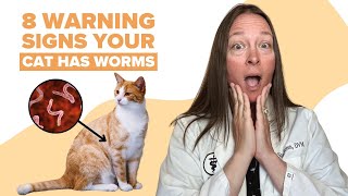 8 Signs Your Cat Has Worms [upl. by Ecneralc]