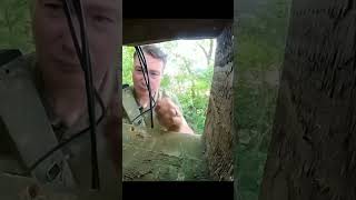 Cute birds scared of hand viralvideo [upl. by Mar801]