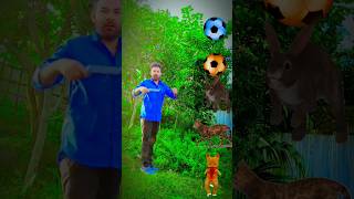 Rounding football to dog cat rabbit goat elephant animals name magic video shorts shortsfeed [upl. by Balcer]