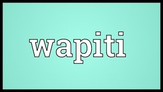 Wapiti Meaning [upl. by Brittani]