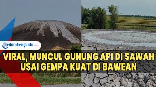 Viral DIsebut Muncul Gunung Api di Sawah Usai Gempa Kuat di Bawean Ini Kata PVMBG [upl. by Arytahs444]