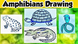 AMPHIBIANS ANIMALS DRAWING  AMPHIBIANS DRAWING  DRAWING OF AMPHIBIANS [upl. by Schreck]