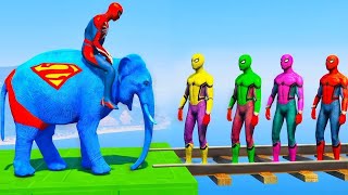 Long Slide Game With Elephant Gorilla Buffalo Hippopotamus Tiger  3d Animal Game  Funny 3d Animals [upl. by Narcissus]